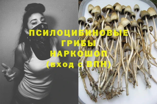 2c-b Алексин