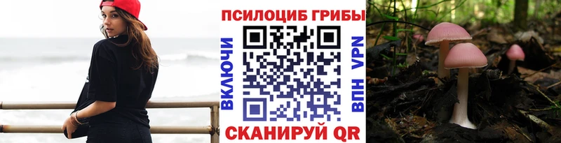 Галлюциногенные грибы Psilocybine cubensis закладки Хотьково